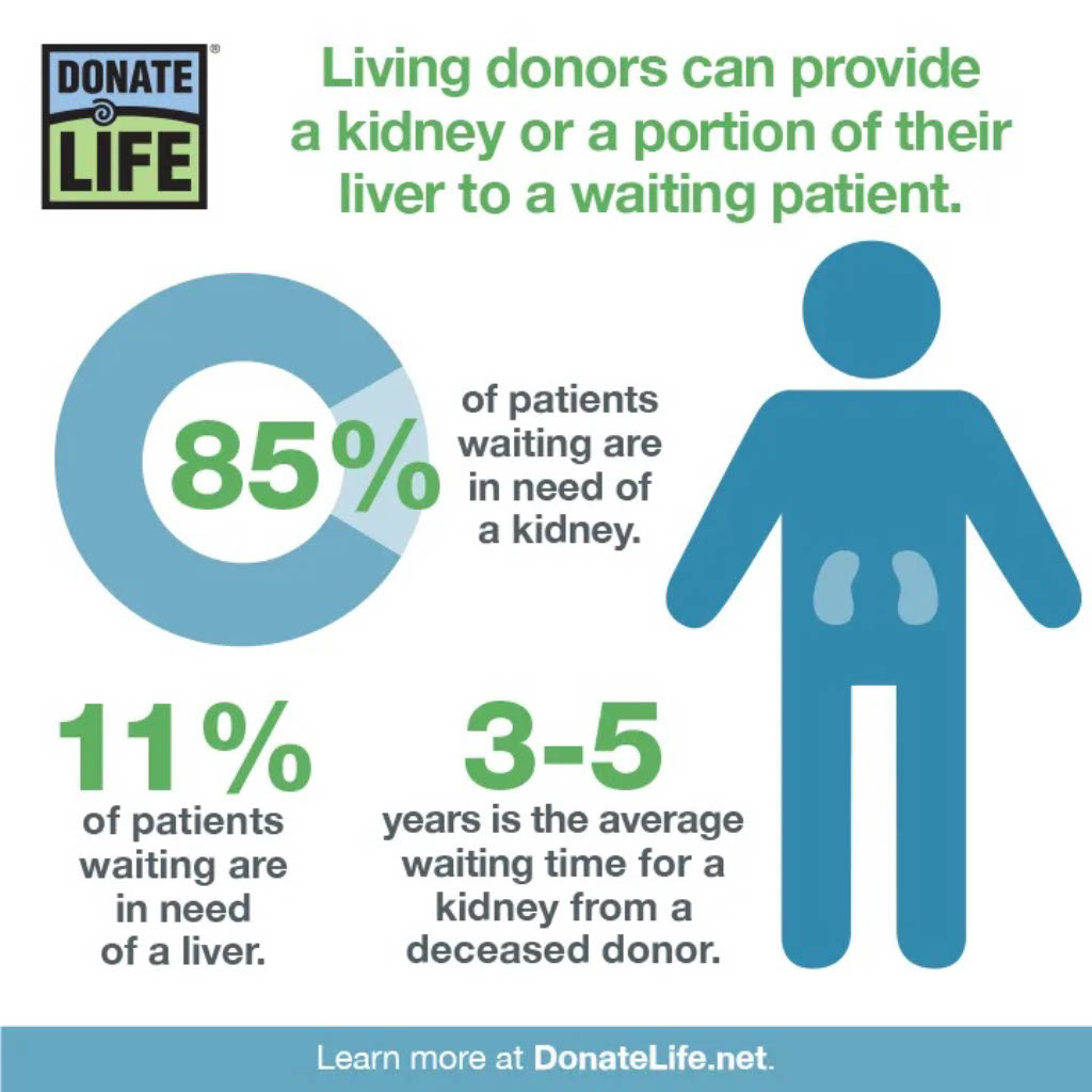 In 2023, 6,953 more lives were saved through the generosity of living donors. Today, we honor the living organ and tissue donors for saving and healing lives. Want to learn more? Check out @DonateLife #LivingDonorDay #GeneChat #PrecisionMedicine