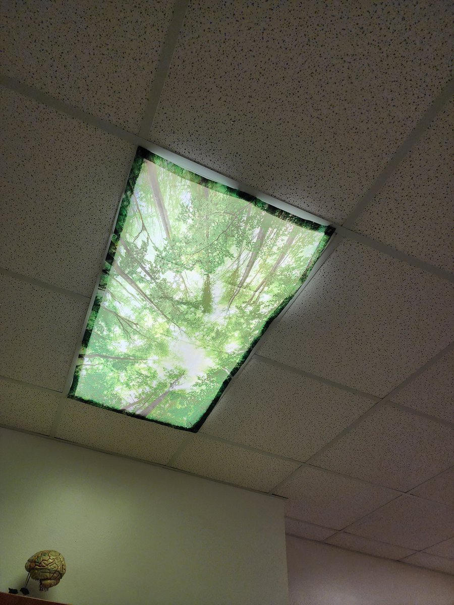 The Walk-through team advised Mrs. Rahvar that her room was too dark, so she purchased "screens" for each light fixture! Lemonade out of lemons!