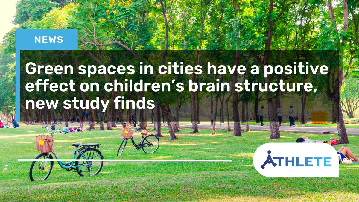 🔉New study out: By using data from 2800 children in the Netherlands and France, we found that green spaces, diversity in a city’s landscape might have an positive impact on children’s brains. athleteproject.eu/news/green-spa…