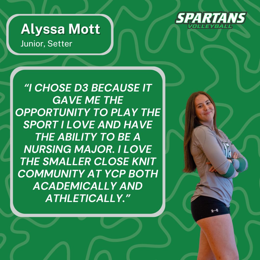 YCPVolleyball tweet media