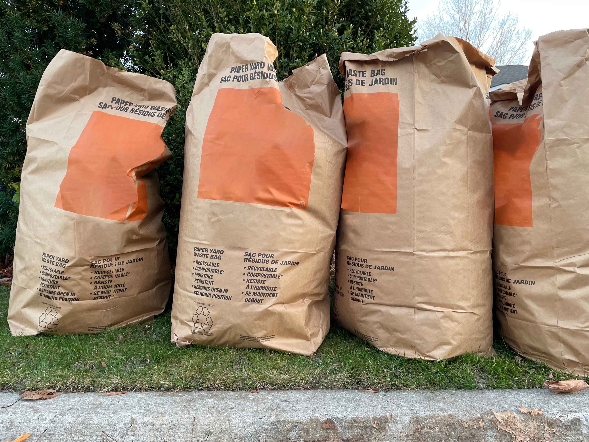 Paper bags for leaves home depot hotsell