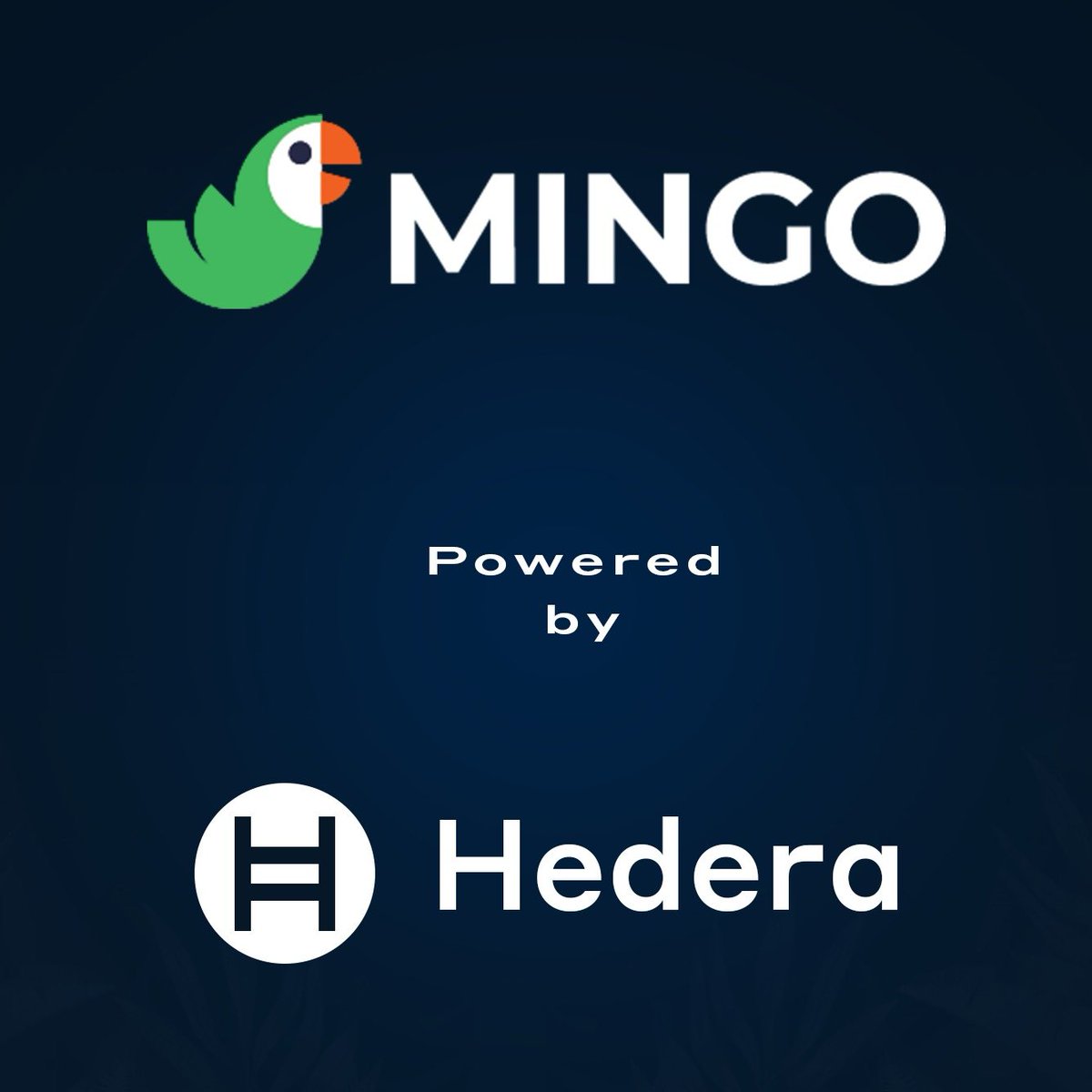 MINGO is proud to build on Hedera! Why? Its Governing Council, featuring giants of all industries, ensures fair governance. With transparent decision-making & a secure platform designed for growth, we're setting new standards in the digital economy. Hedera's commitment to