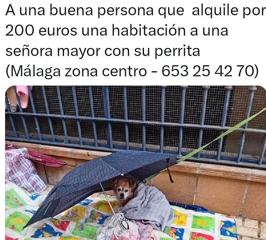 Erta2017's tweet photo. #Málaga

            In-humanidad💔

Viven ambas bajo un balcón,  perrita y humana
La asistente social le ofrece vivienda a la mujer, pero sin su perrita. 
Ella dice q  NO, que no la abandona. Y que puede pagar 200€ por 1 habitación para las 2
Ayuda🆘 https://t.co/wE8gv5JqJ6