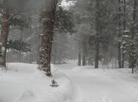 ConVal Schools will be closed tomorrow, Thursday, April 4, 2024, due to the incoming storm.