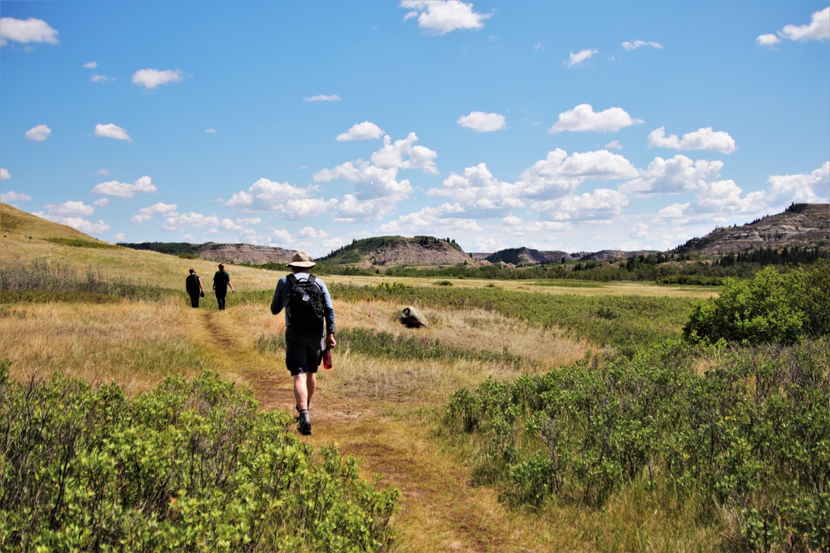 It’s #NationalWalkingDay. What better way to celebrate than to take a walk in a provincial park? 👣 Whether you’re going for a light stroll or an adventurous trek, send us a comment about which park you went to for the fresh air and the beautiful scenery.