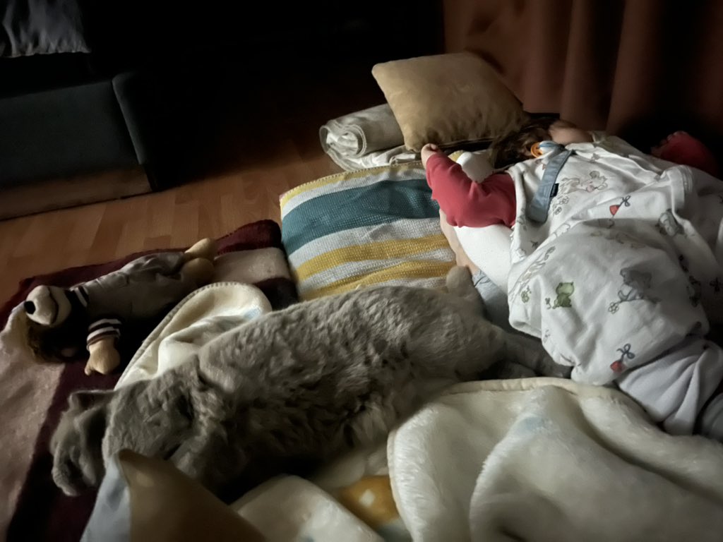 Sahiden iyi mi geçeler