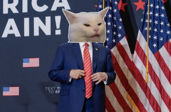 SkywalkerTrumpSOLMeowCat69Saga tweet media