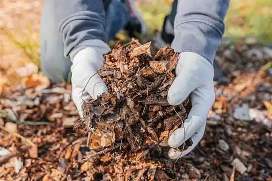 We are partnering with Recycoal GmbH to transform agricultural waste materials into Biochar, a rich nutrient-filled fertilizer.

We love you to contribute to this initiative by taking this survey. Take a few minutes to fill out the form

forms.office.com/Pages/Response…

#recycle #FutuX