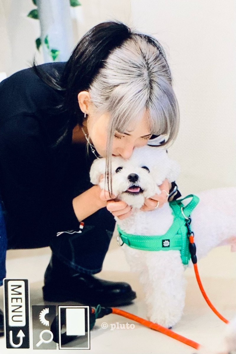 pluto_0403's tweet photo. 240403 #해피묭묭데이💚
🤭🤭삼일적박탈감..🐶🐾💚🐰
#미나명 #딥앤댑 #MINAMYOUNG #DEEPNDAP https://t.co/725LyxjBHH