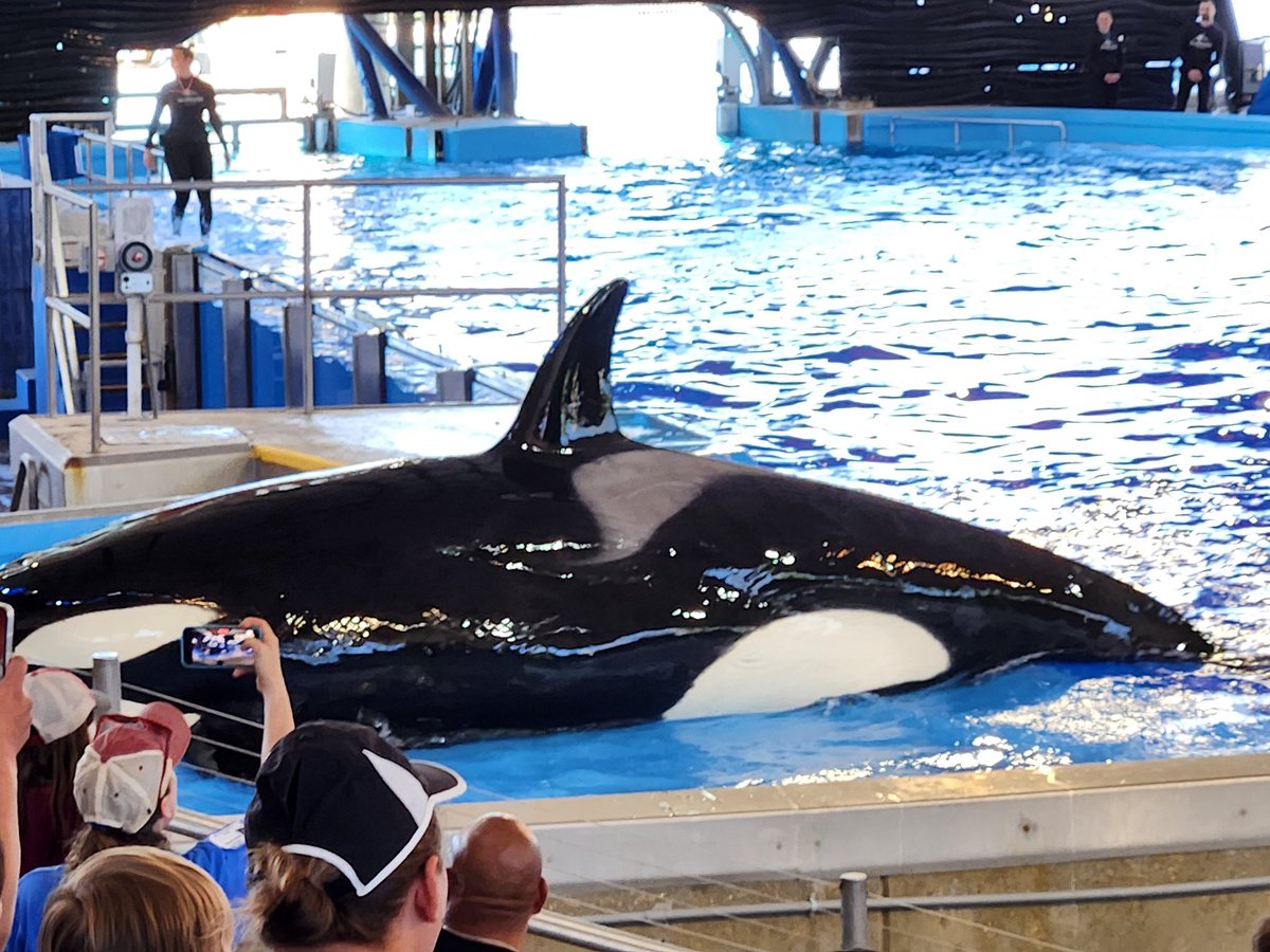 Enjoying ocean life with Kinder's field trip to SeaWorld.<a href="/NISDLib/">NISDLibraryServices</a>  <a href="/NISDVillarreal_/">Villarreal ES</a>