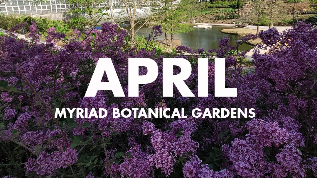 🌞📢💐🚲April in the Gardens: Plant-a-Prairie Sale; Solar Eclipse Watch; Full Moon Bike Rides are back, a great lineup of classes for adults and youth & more. conta.cc/49mgl8L