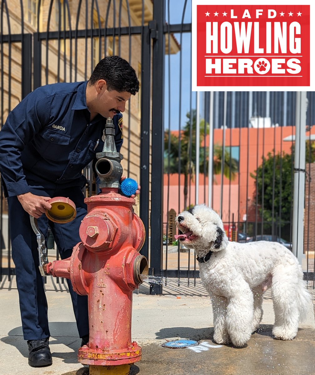 Is your furry friend ready to be the next LAFD mascot? Join Howling Heroes, our dog mascot contest starting on April 10th! 🐶 Show off your creativity and love for canines. Learn more here: gogophotocontest.com/howlingheroes
