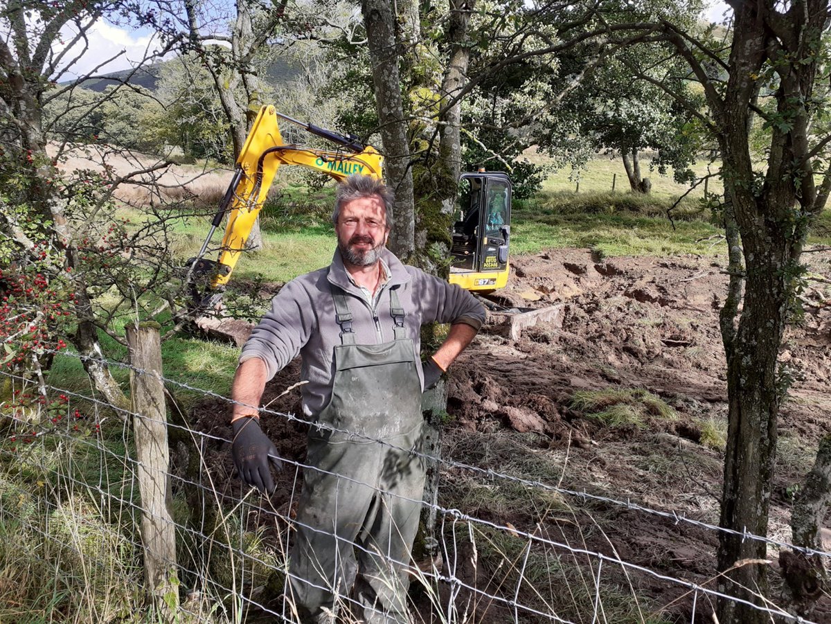 Tree Amble Podcast this week is with Danny Teasdale - on river restoration in Cumbria to help biodiversity, flood management and farming. In this episode we go looking for and find spawning salmon in a small beck he has restored. @RibbleTrust @UllswaterCic @kernowbeaver