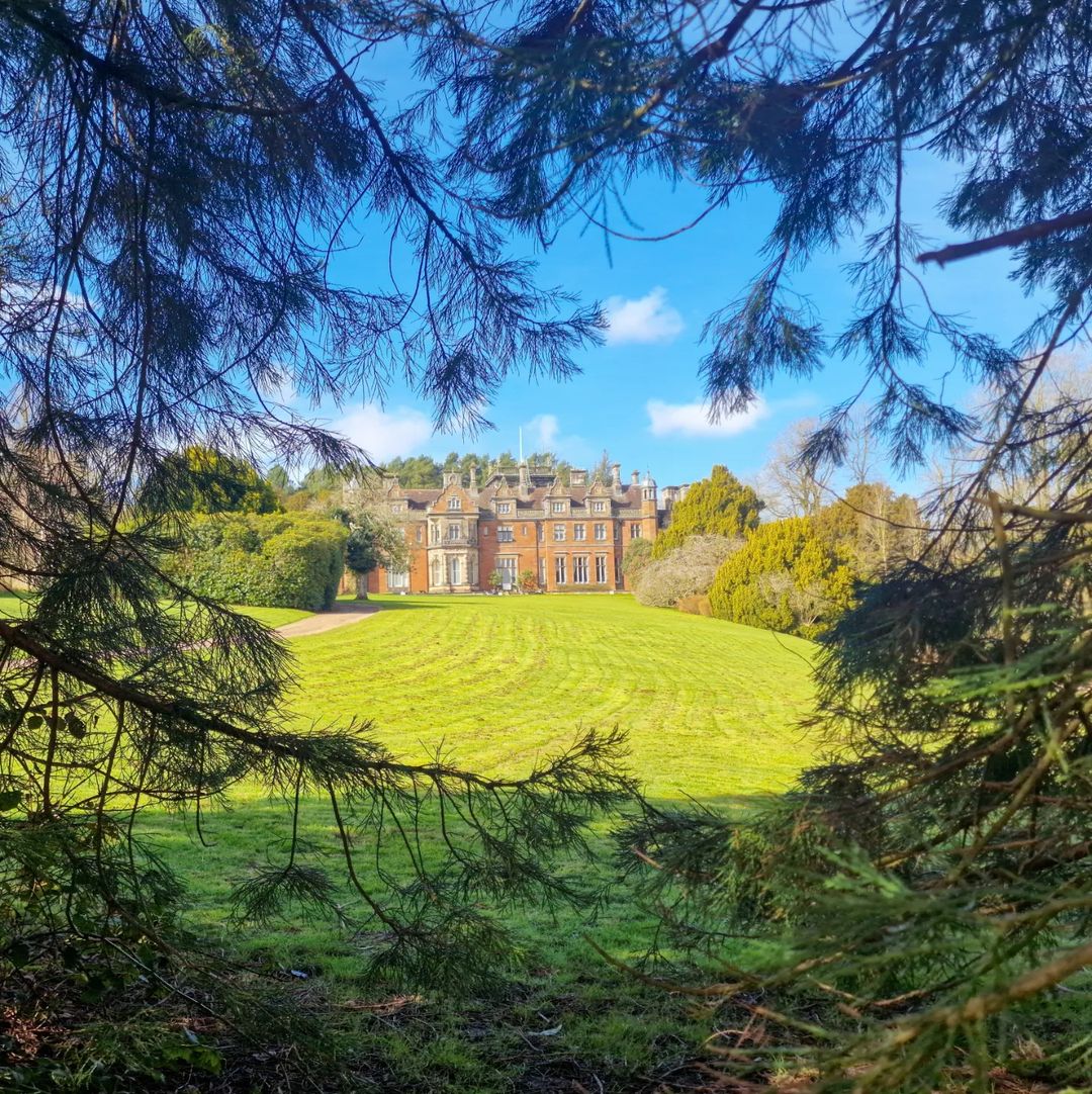 When the tree placement is spot on 👌🖼️ #LoveKeele 

📸 [siwathall] Instagram