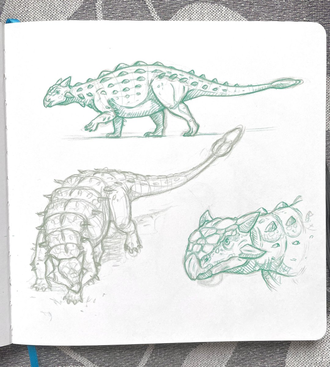 Ankylosaurus. What a strange structure to draw! #paleoart #dino