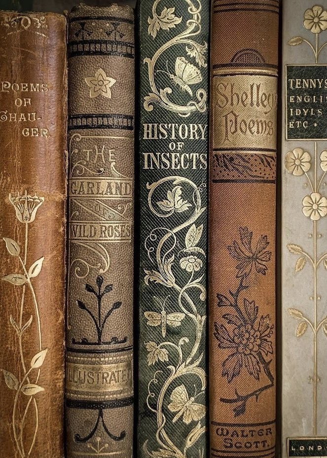 LadySapphyre's tweet photo. BG3 COMPANION BOOK RECS ✨
Mostly fantasy / sci-fi

↳ a 🧵 https://t.co/NnqlUCB5Sm