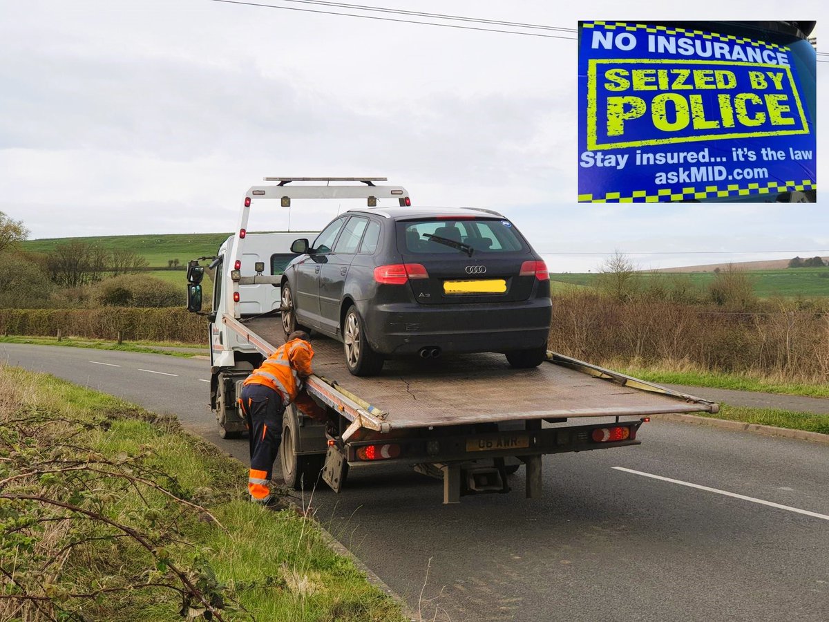 Dorset Police Specialist Operations tweet media