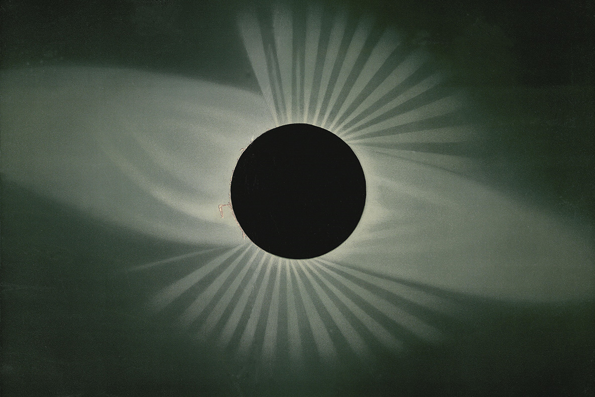 University of Michigan Library tweet media