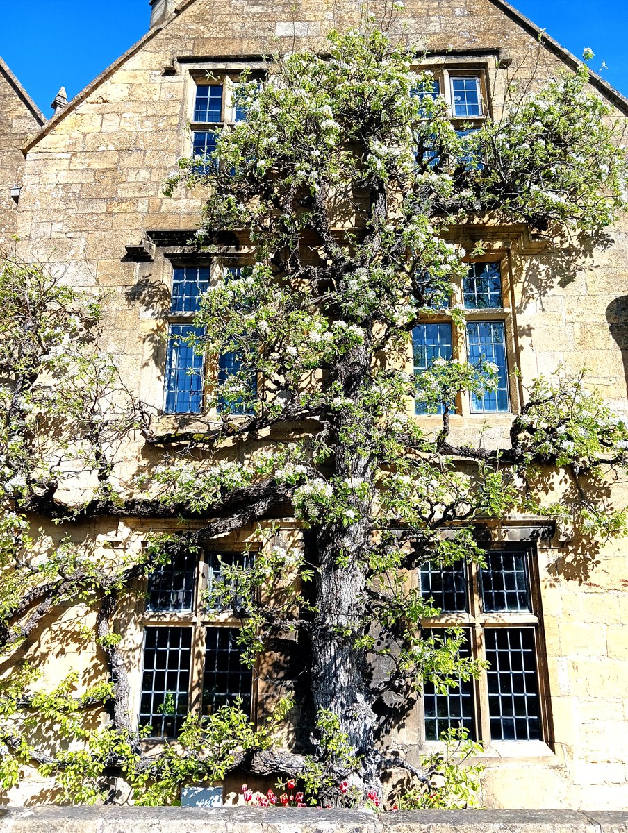 Spring in the Cotswolds 🤩