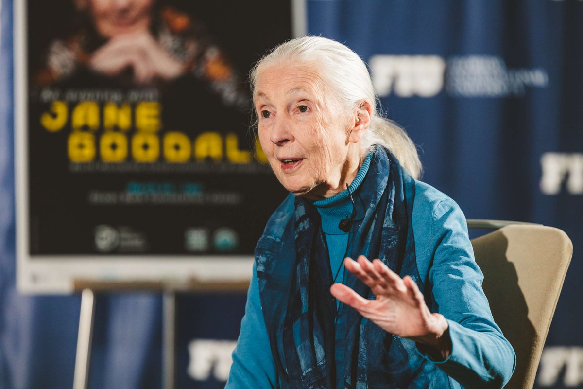 Happy 90th Birthday to the amazing @janegoodallinst !