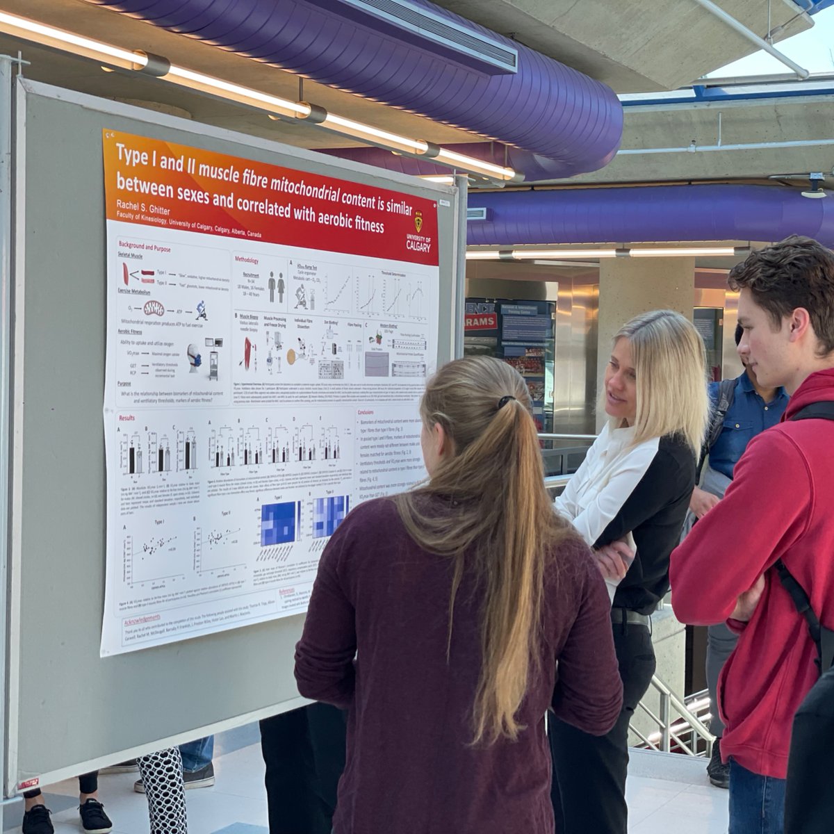 Apr. 5, dive into our undergrad research poster session featuring KNES 590 students &amp; '23-'24 scholarship winners. Don't miss this exploration of innovative work funded by the Students’ Union &amp; Dean’s Office. @Nick_Holt_1

11am - 12:15pm, 12:30 - 1:45pm
Gold Gym, KNA