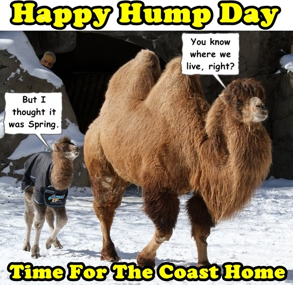 Happy Hump Day! Anyone seen Spring? Welcome to the Coast Home with @tonyangelo59