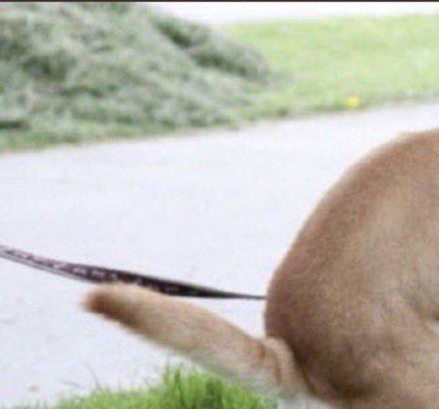 Valorant Updates tweet media