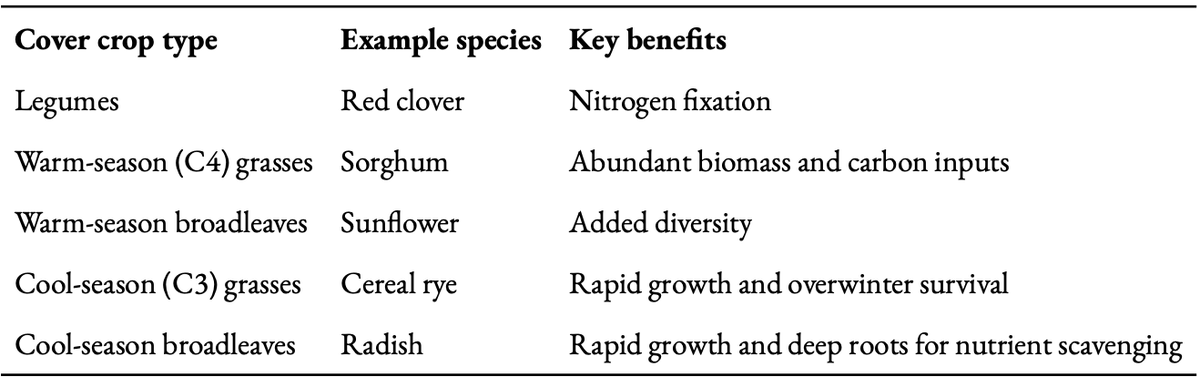 Cover crops are another strategy to improve and protect soil health. They are plants grown to protect the soil, serving an alternate purpose than growing a crop for its harvestable commercial product. Read more in this #GroundedInSoils blog post: wp.me/pclOv9-et