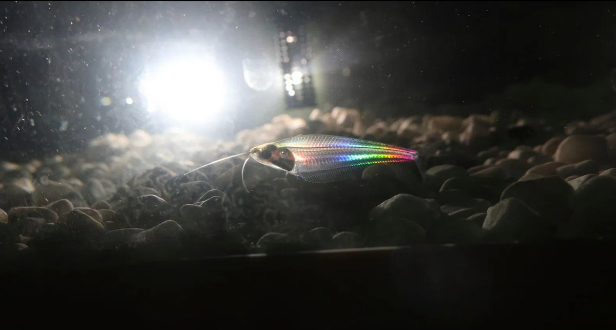 thanks for all the love. preview for the sequel!