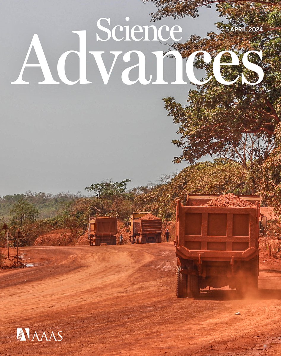 New research integrated a global mining dataset with great ape density distribution and found that up to one-third of Africa’s great ape population faces mining-related risks. Learn more in this week’s issue of Science Advances: scim.ag/6sP