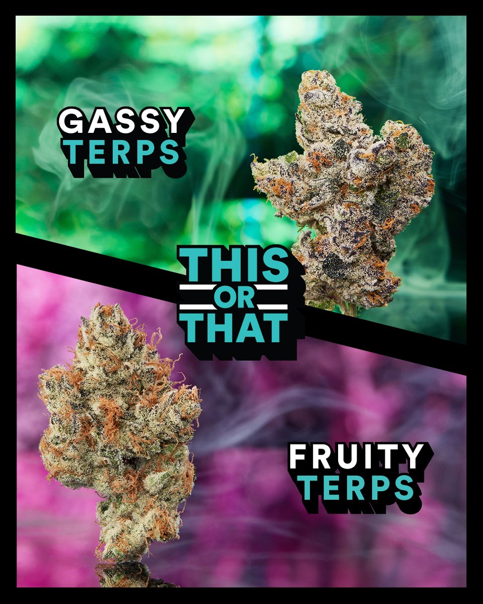 Gassy vs. Fruity ⛽️🍓 What side are you on? 👇