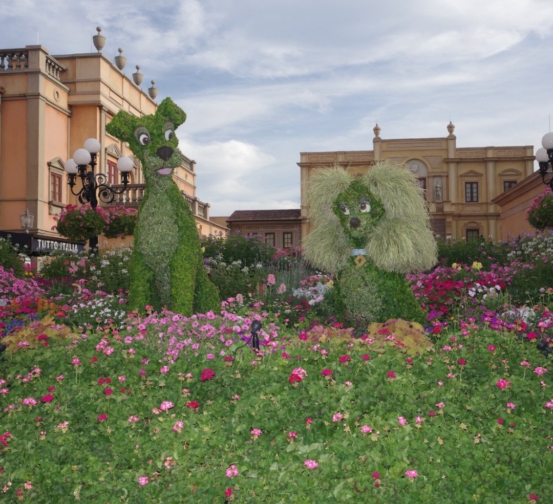 Rachel Carpenter (@rachcarpenter_) on Twitter photo 