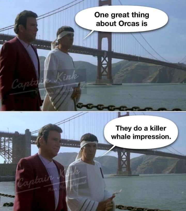 😂😂😂
Happy #WhaleWednesday everyone!

(join our Patreon at the $10/month level to hear our episode about Star Trek IV: The Voyage Home)

#WhaleTales