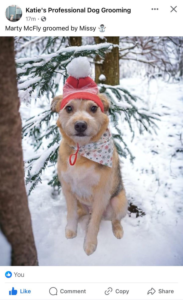 amy_western's tweet photo. @primawesome This is Marty McFly https://t.co/RaNa2iNsNM