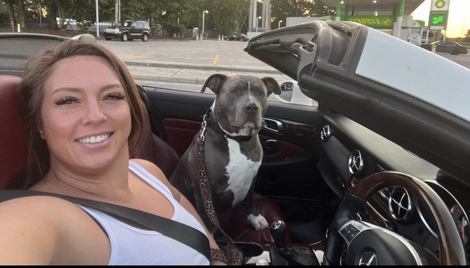 Happy 7th birthday to our big house hippo and my personal bodyguard ❤️ https://t.co/AcTtR0wkoa