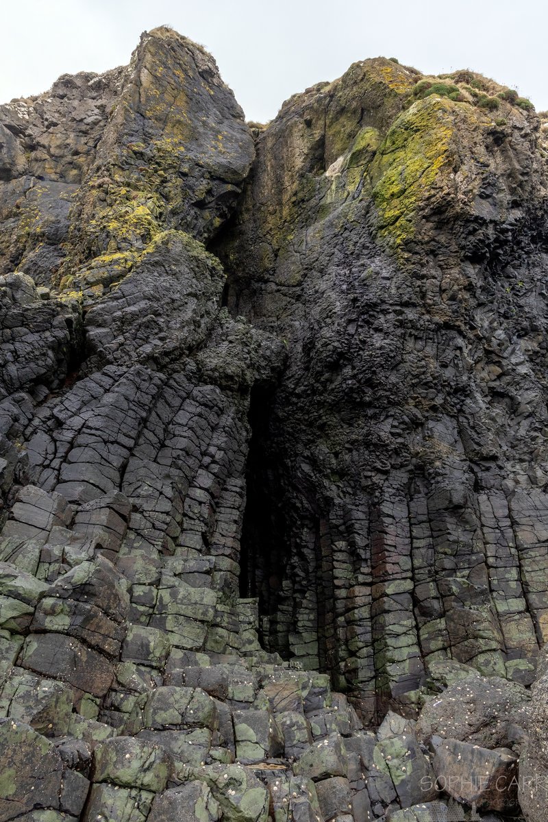 A few more basalt columns from Ardtun on the Isle of Mull. Just look at them!!

#Scotland #GeologyRocks #basaltporn #IsleofMull