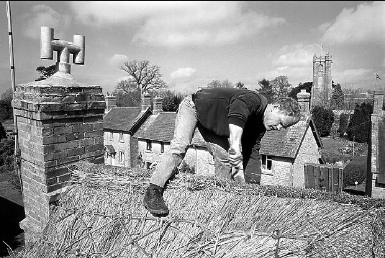 Thatcher working on the ridge of a cottage roof #Somerset 1989 (Philip Dunn / Mary Evans Picture Library) 🏴󠁧󠁢󠁥󠁮󠁧󠁿