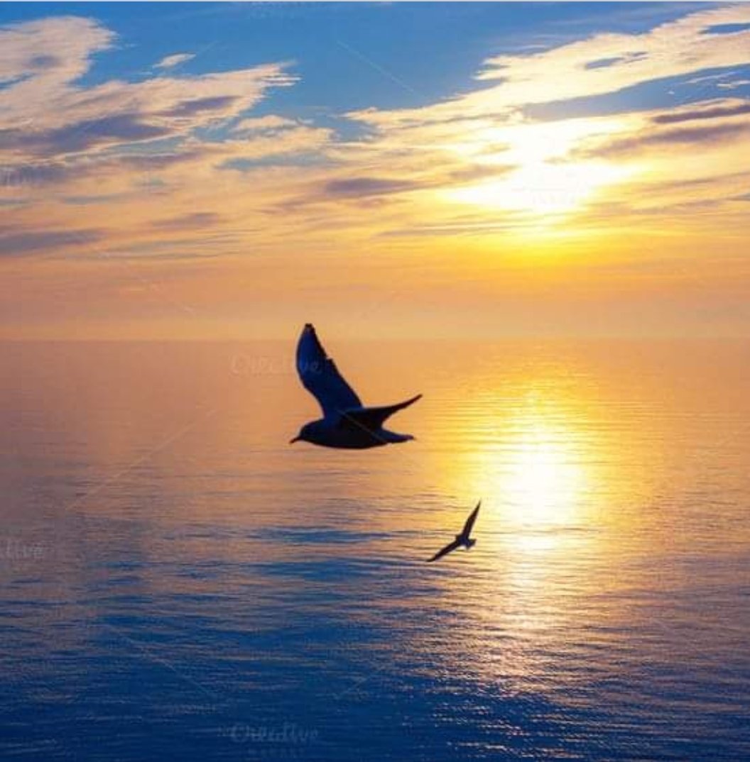 NonyXXXX's tweet photo. There comes a time to stop trying to make things right with people that won’t own their part in what went wrong! 

Cherish people who treat you right, who respect your feelings, who are happy for your happiness! Pray for those who don't. 
Life is too short to be anything but happy! ❤☀