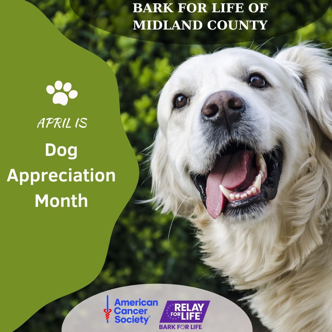 Happy #DogAppreciationMonth from #BarkForLife of Midland County!

#RelayForLife #EveryCancerEveryLife