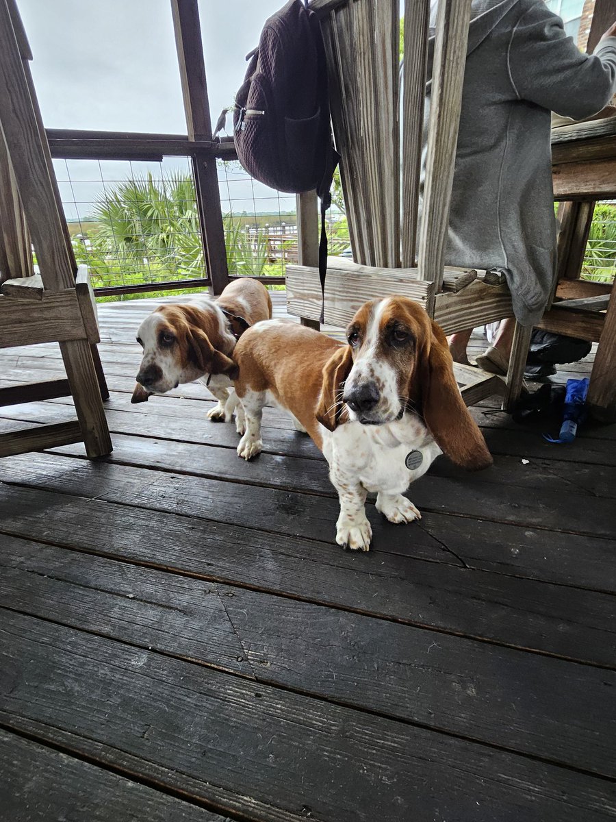 Amy Lyle - unlucky but tenacious tweet media