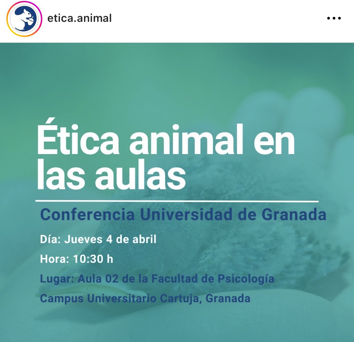 Mañana en Granada no os perdáis esta charla sobre "Ética animal en las aulas" de la mano de <a href="/Etica_Animal/">Ética Animal</a> ✊❤️‍🔥 #granada #vegan