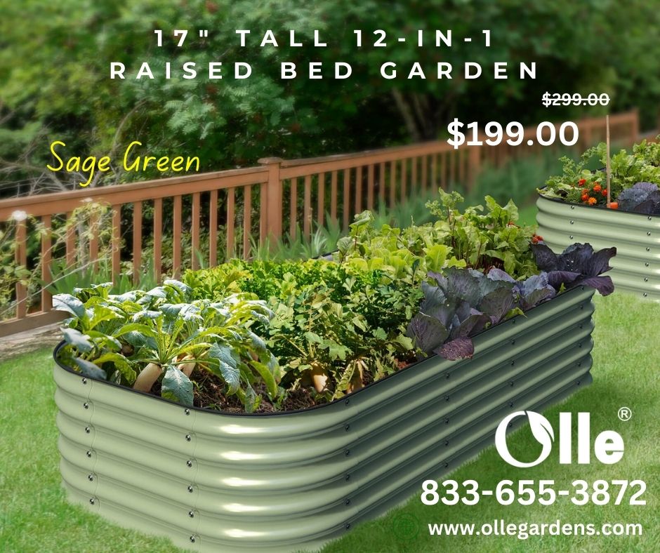 Olle Gardens 17' Tall 12-in-1 Metal Raised Bed Garden in Sage Green. Free Shipping Visit ow.ly/3HGb50R7zfN to order or call 833-655-3872. 

 #RaisedBedGarden #MetalGardenBed  #BountifulHarvest #GardenDesign #ollegardens #urbanfarming #gardening #farming #woodenbeds