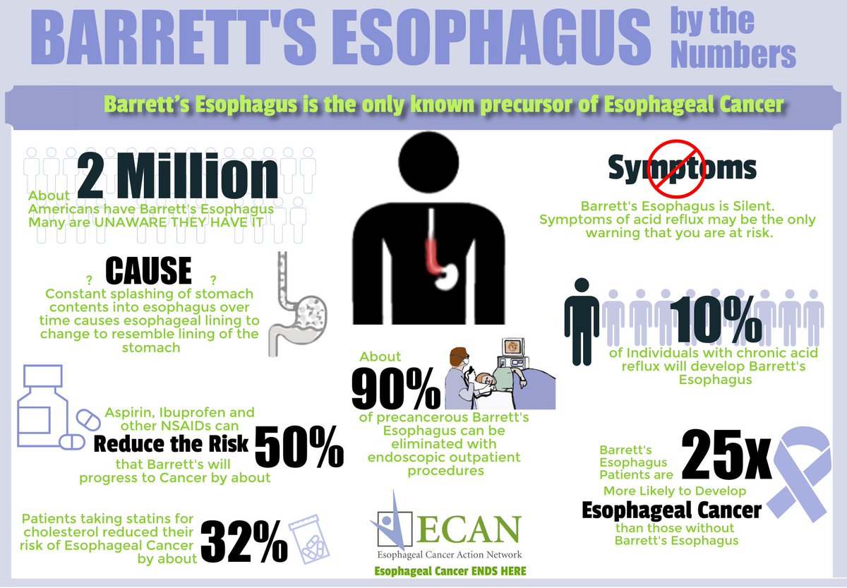 April is Esophageal Cancer Awareness Month! The only known precursor of EC is Barrett’s Esophagus, which is caused by Acid Reflux. This condition makes patients 25x more likely to develop EC than those without Barrett’s Esophagus 📈 Learn more at ecan.org/facts 🔗
