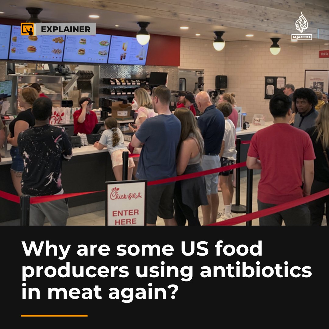 Several US companies have abandoned commitments to serve antibiotic-free meat, citing supply and animal welfare concerns aje.io/oqmtxy