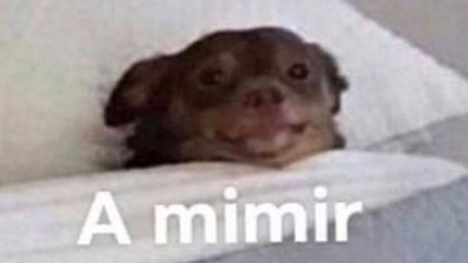 AlanCasau's tweet image. Cuando se cae #WhatsApp y mi trabajo me lo envían por ese medio…