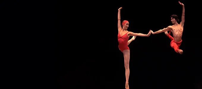 «No sé si la belleza salvará el mundo. Pero, ¿qué sería de nosotros sin ella? Las obras de arte que se crean con talento y dedicación, que se entrelazan en nuestros sueños, nos inspiran y nos consuelan. 
La esperanza es siempre una victoria». Dancing Beethoven