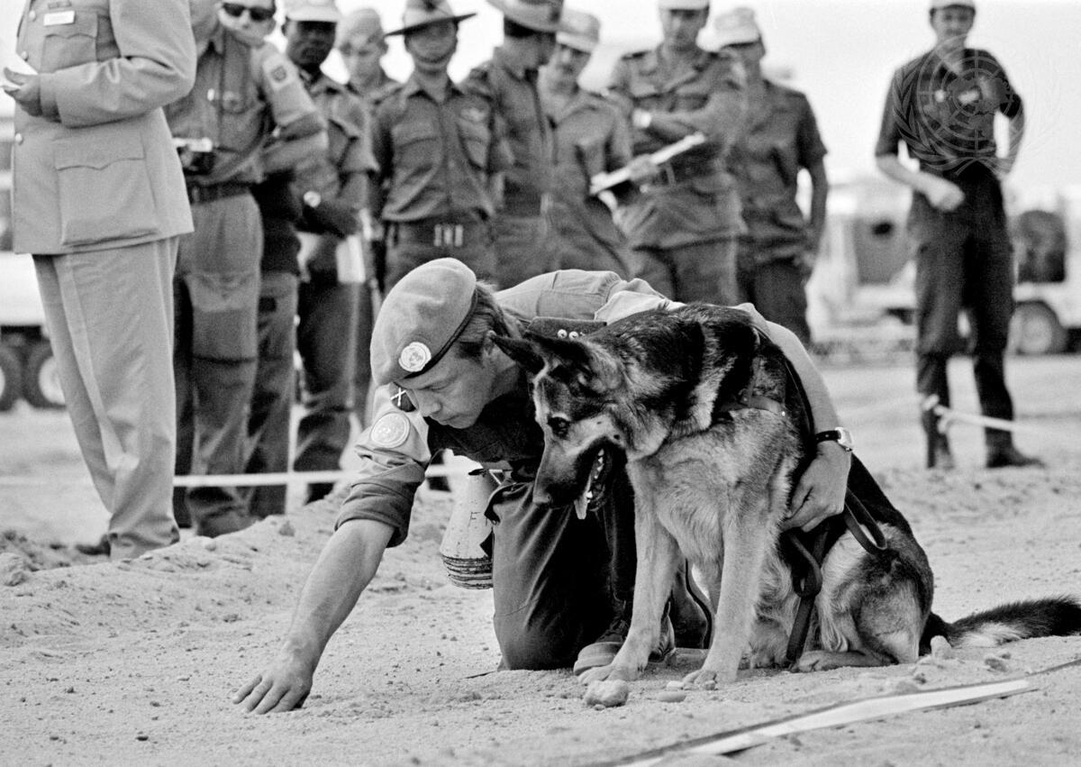 Today is International Day for Mine Awareness and Assistance in #MineAction A German shepherd dog of the Swedish Battalion with United Nations Emergency Force shows its ability to sniff mines at a Mine Training Course near Cairo, Egypt (1974). #ThrowbackThursdays, @UNMAS