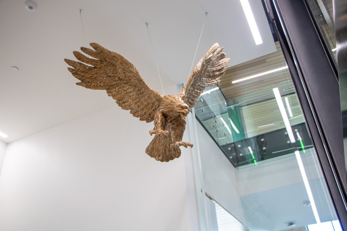 A big thank you to #UNTalum Rick Shaw for donating this stunning wooden eagle sculpture that now hangs proudly here at #UNTatFrisco! It's a true symbol of our #UNT pride and strength of our university. 🦅