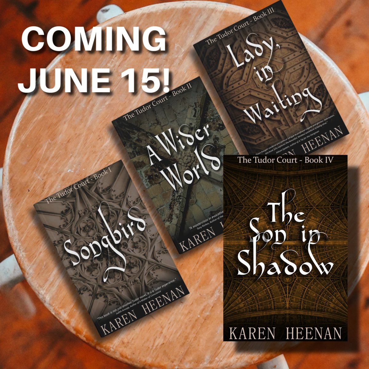 It's day 3 of nonstop rain, so how about a cover reveal to liven things up? The Son in Shadow was designed by @Anthony_OBrien_, who did all the covers in the series. I love the spiderweb feel & how it fits the the story. #histfic #historicalfiction #tudors #coverreveal #kindle