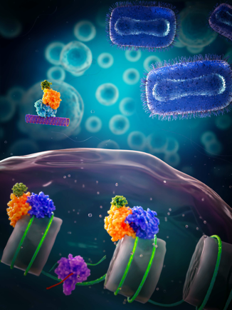 Gammon Lab tweet media